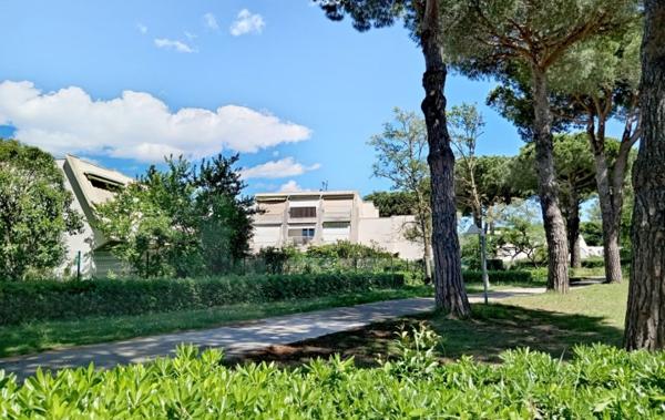 Vente Studio rénové(e) La grande-motte   