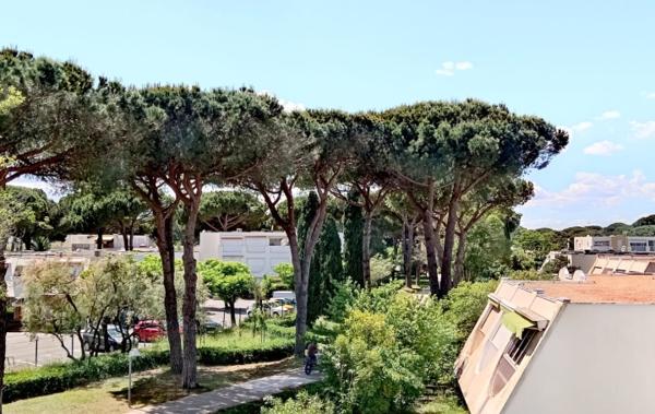 Vente Studio rénové(e) La grande-motte   