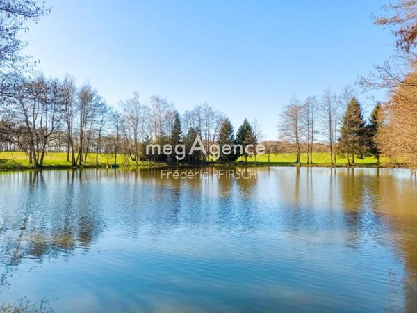 Terrain à CHAVANATTE, 90100 - 7020m²