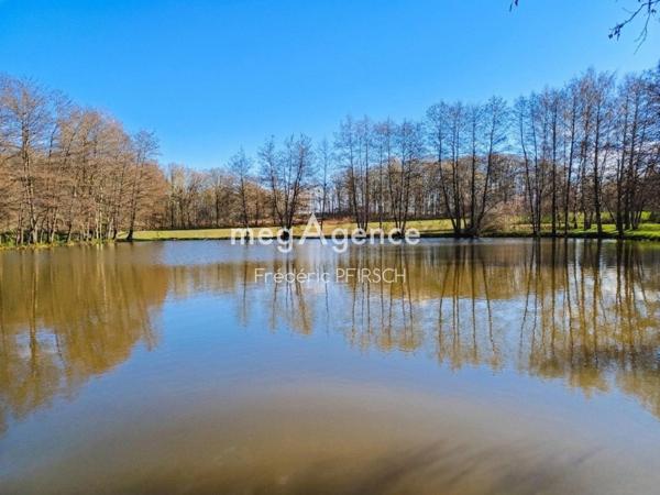 Terrain à CHAVANATTE, 90100 - 7020m²