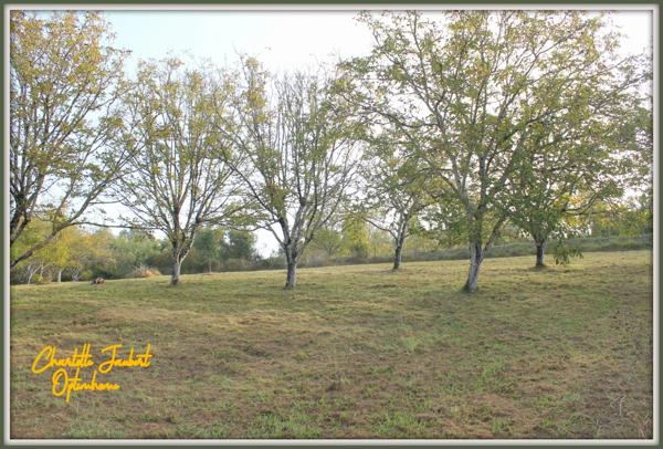 grand terrain