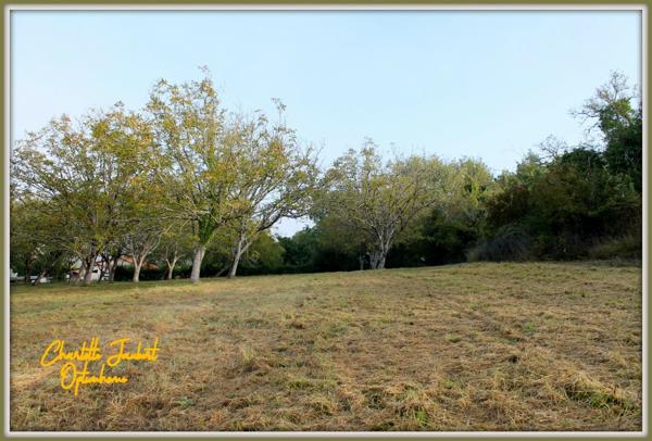 grand terrain