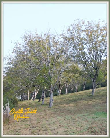 grand terrain