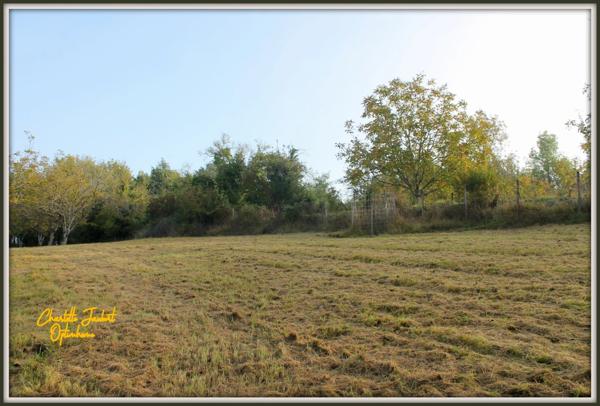 grand terrain