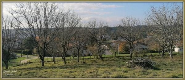 grand terrain