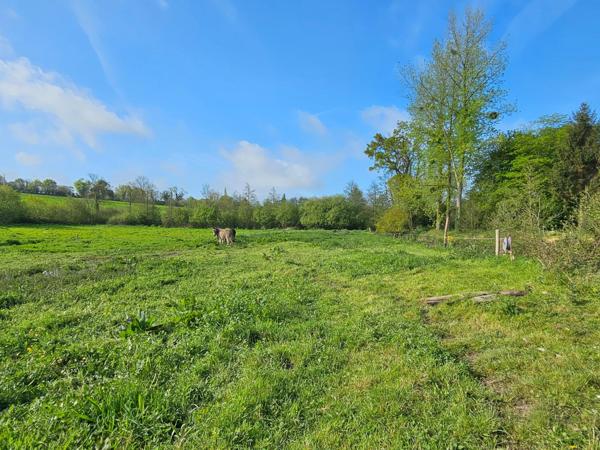 Maison à rénover entièrement dans un cadre idyllique avec rivière