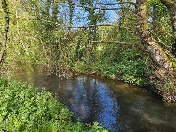 Maison à rénover entièrement dans un cadre idyllique avec rivière