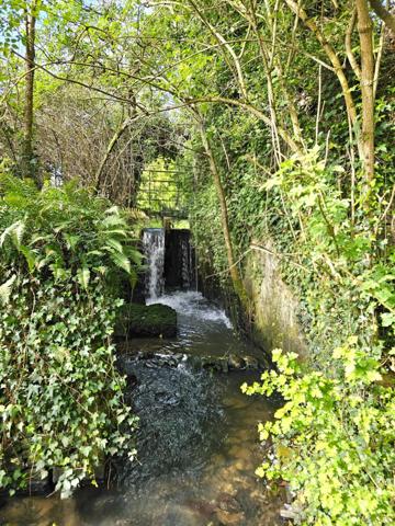 Maison à rénover entièrement dans un cadre idyllique avec rivière