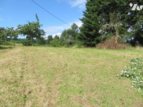 Proche de la Forêt Domaniale de NOUES DE SIENNE