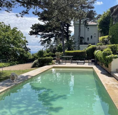 Saint Cyr au Mont d'Or - Propriété avec 2 maisons sur 8000m2 de terrain. Grand garage.