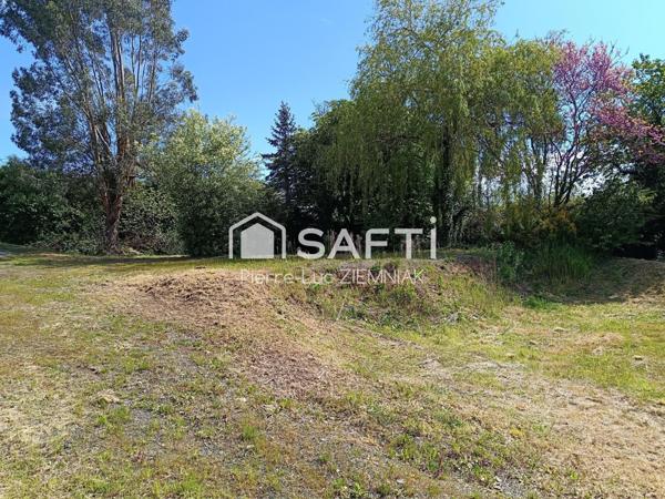 Grande parcelle constructible