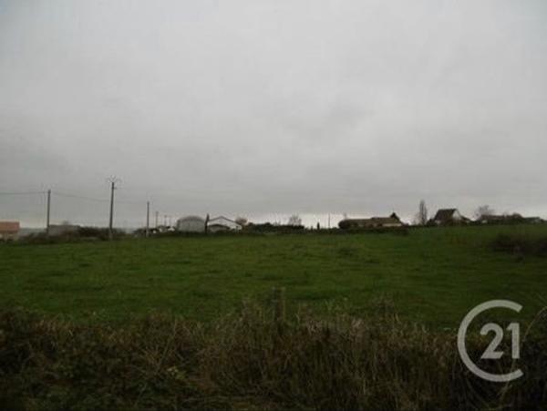 terrain à vendre 2500 m2 CHANTELLE - 03