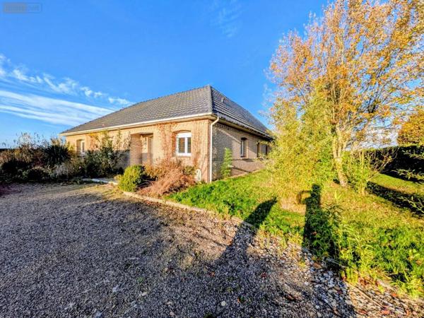 Achat - Maison | Pavillon Audruicq 62370 6 pièces 138 m 2 2210 m 2