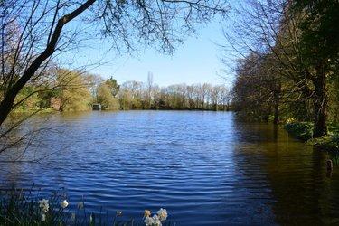 Terrain de loisirs - Bois - Etang à vendre à Bouère en Mayenne (53290), ref : 53039-414