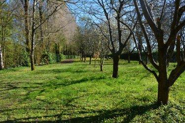 Terrain de loisirs - Bois - Etang à vendre à Bouère en Mayenne (53290), ref : 53039-414