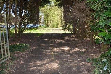 Terrain de loisirs - Bois - Etang à vendre à Bouère en Mayenne (53290), ref : 53039-414