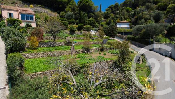 Terrain à vendre  1529 m2 VALLAURIS - 06