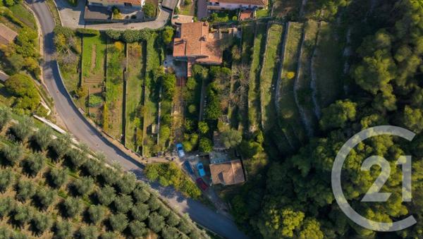 Terrain à vendre  1529 m2 VALLAURIS - 06