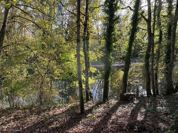 Maison  de luxe en vente - 