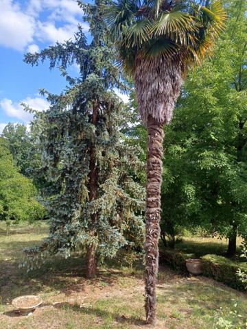 Maison idéalement située. Beaux volumes.