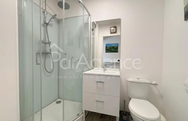 Centre-ville appartement avec grande terrasse et parking