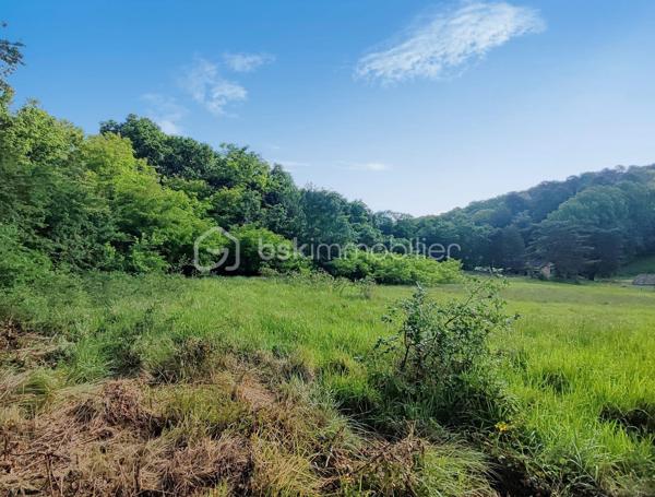 Dans un environnement calme et recherché, dans une impasse et à proximité du centre-ville, ce magnifique terrain d’environ 9 588 m², dont 2 600 m² constructibles, saura vous séduire par son cadre exceptionnel.

Partiellement constructible, il offre de belles opportunités pour concrétiser votre projet tout en profitant d’un environnement naturel préservé. Vous apprécierez sa vue dégagée, son atmosphère paisible ainsi que sa partie boisée, apportant charme et authenticité.

L’accès à l’eau est déjà existant, un véritable atout pour vos futurs aménagements.

Un bien rare sur le secteur, idéal pour les amoureux de nature souhaitant rester proches des commodités.