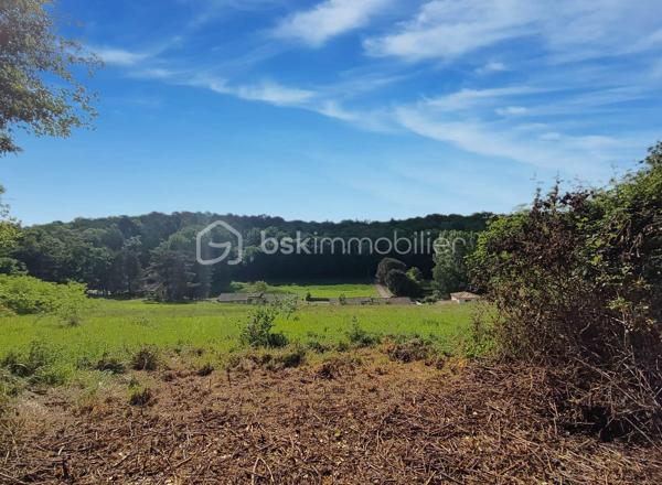 Dans un environnement calme et recherché, dans une impasse et à proximité du centre-ville, ce magnifique terrain d’environ 9 588 m², dont 2 600 m² constructibles, saura vous séduire par son cadre exceptionnel.

Partiellement constructible, il offre de belles opportunités pour concrétiser votre projet tout en profitant d’un environnement naturel préservé. Vous apprécierez sa vue dégagée, son atmosphère paisible ainsi que sa partie boisée, apportant charme et authenticité.

L’accès à l’eau est déjà existant, un véritable atout pour vos futurs aménagements.

Un bien rare sur le secteur, idéal pour les amoureux de nature souhaitant rester proches des commodités.