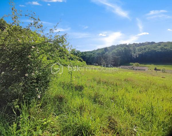 Dans un environnement calme et recherché, dans une impasse et à proximité du centre-ville, ce magnifique terrain d’environ 9 588 m², dont 2 600 m² constructibles, saura vous séduire par son cadre exceptionnel.

Partiellement constructible, il offre de belles opportunités pour concrétiser votre projet tout en profitant d’un environnement naturel préservé. Vous apprécierez sa vue dégagée, son atmosphère paisible ainsi que sa partie boisée, apportant charme et authenticité.

L’accès à l’eau est déjà existant, un véritable atout pour vos futurs aménagements.

Un bien rare sur le secteur, idéal pour les amoureux de nature souhaitant rester proches des commodités.