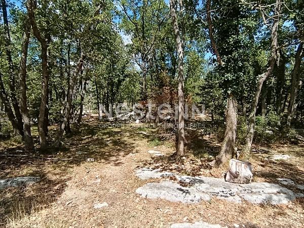 Terrain inconstructible 1079m²
