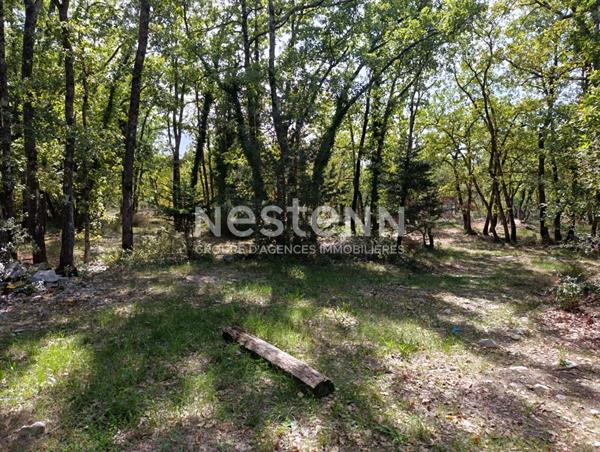 Terrain inconstructible 1079m²