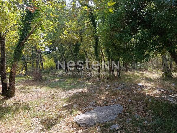 Terrain inconstructible 1079m²
