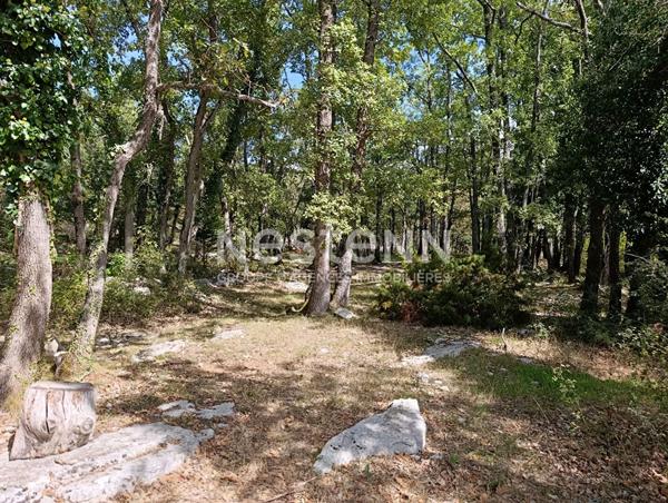 Terrain inconstructible 1079m²