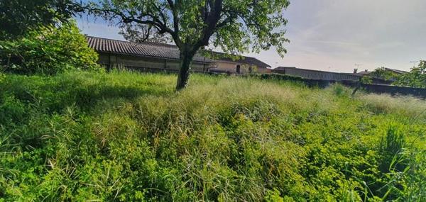 Maison à vendre |  Montlieu-la-Garde |  7 pièces | 245 m²