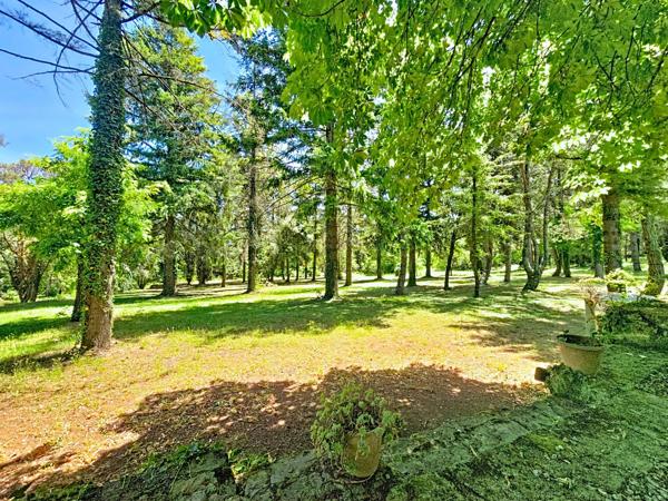 Un véritable domaine en pleine nature, sans voisinage ni nuisance, sur plus de 2,5 hectares de terrain.
