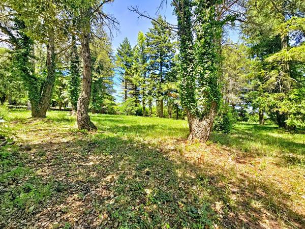 Un véritable domaine en pleine nature, sans voisinage ni nuisance, sur plus de 2,5 hectares de terrain.