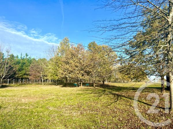 Maison à vendre  5 pièces - 222,87 m2 MONTPON MENESTEROL - 24