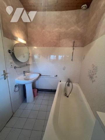 Maison + gite 8 pièces dependance garage jardin