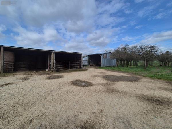 Maison à vendre à Guilberville dans la Manche (50160), ref : 26-11