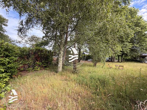 Environnement arboré - A proximité du bourg