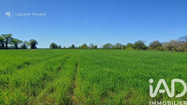 Terrain à vendre 1 687 m² Allaire