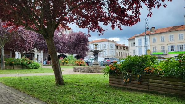 Maison à vendre 8 pièces MONTREJEAU (31)