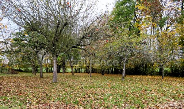 VENDÔME NORD (41) à 10mn de la Gare TGV (Entre DANZÉ et VENDÔME)