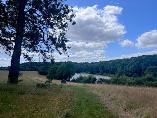 Maison en bois 85m2, 3 chambres, 25 min de Vannes