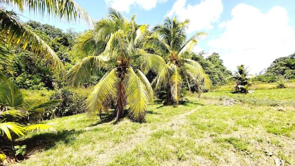 PAISIBLE MAISON F3 SUR 2040m² DE TERRAIN