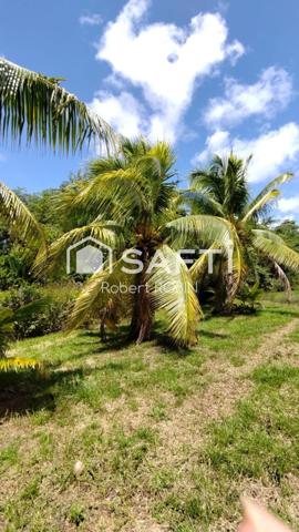 PAISIBLE MAISON F3 SUR 2040m² DE TERRAIN