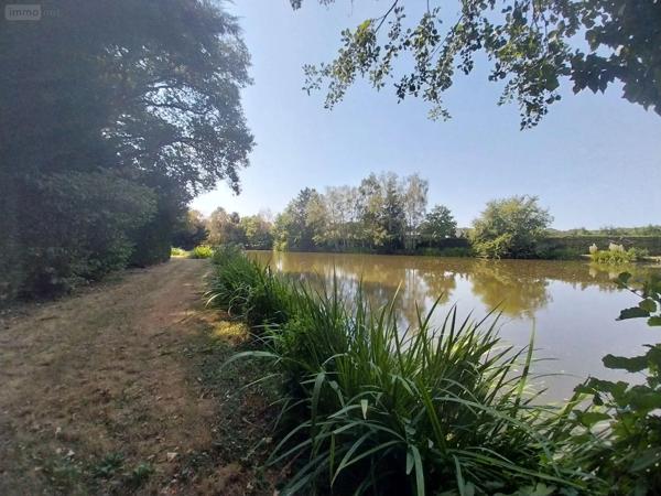 Achat - Terrain de loisirs, bois, étangs | Étang Bourgon 53410 8870 m 2