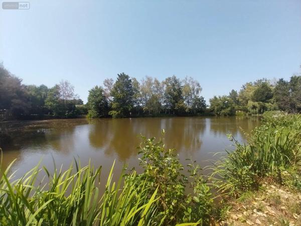 Achat - Terrain de loisirs, bois, étangs | Étang Bourgon 53410 8870 m 2