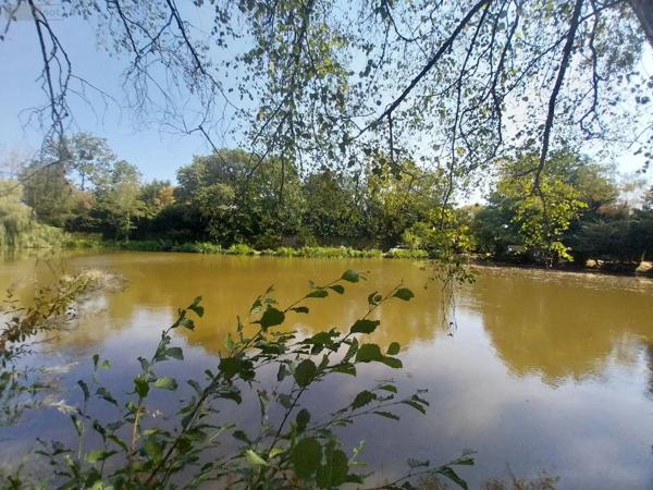 Achat - Terrain de loisirs, bois, étangs | Étang Bourgon 53410 8870 m 2