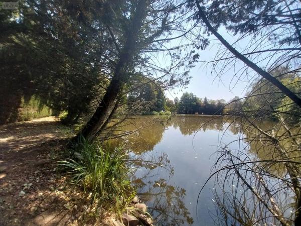 Achat - Terrain de loisirs, bois, étangs | Étang Bourgon 53410 8870 m 2