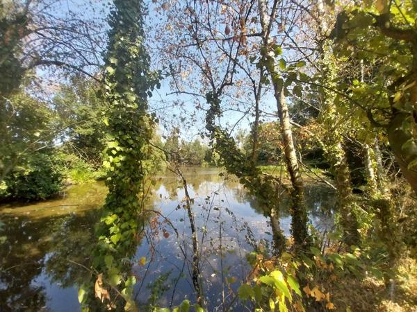 Achat - Terrain de loisirs, bois, étangs | Étang Bourgon 53410 8870 m 2